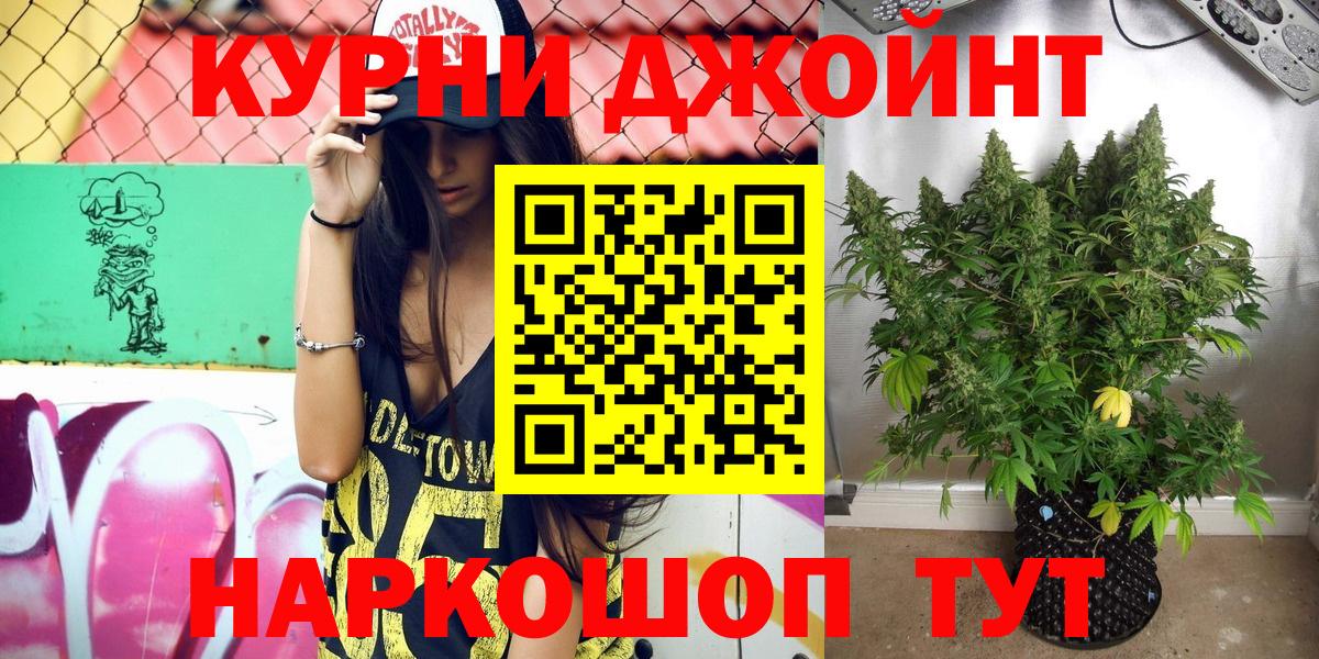 Канабис Bruce Banner Сосновый Бор