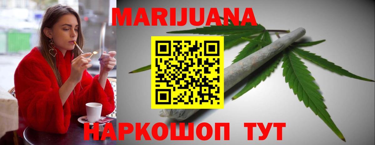 Сосновый Бор  Шишки марихуана гибрид  Вход с VPN  Марихуана гибрид  Каннабис сатива 